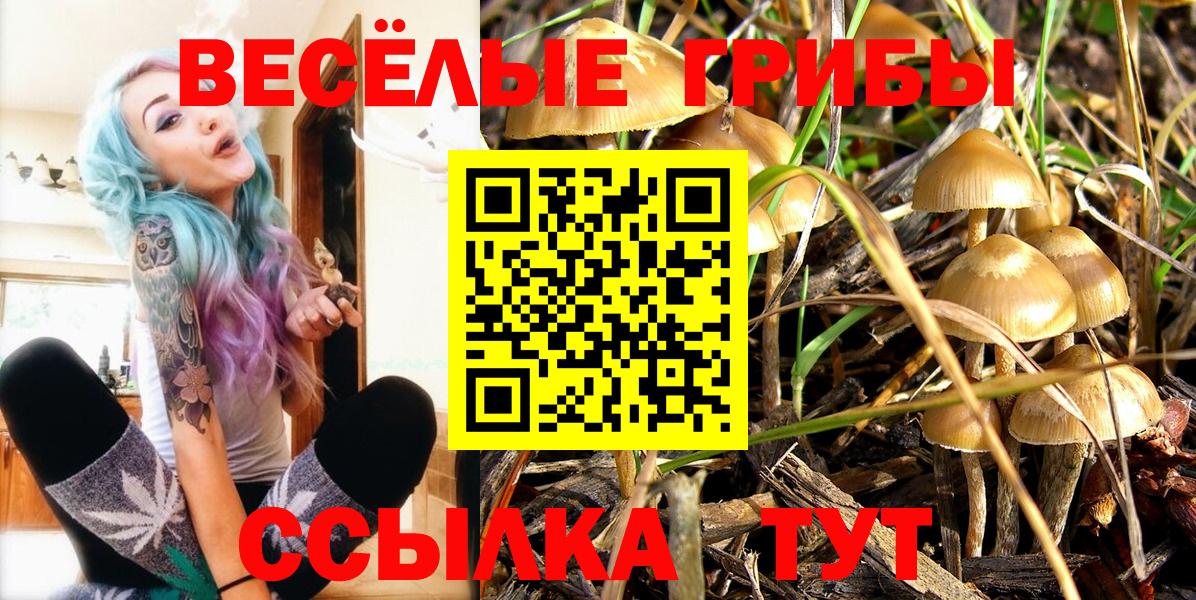 Галлюциногенные грибы Cubensis  Вход с VPN  Кубинка 