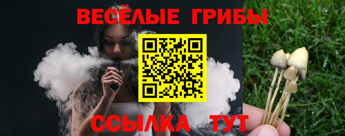 Галлюциногенные грибы GOLDEN TEACHER Кубинка